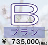 Bv